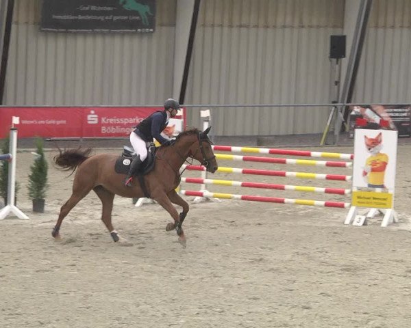 Reitturnier Ehningen 2023