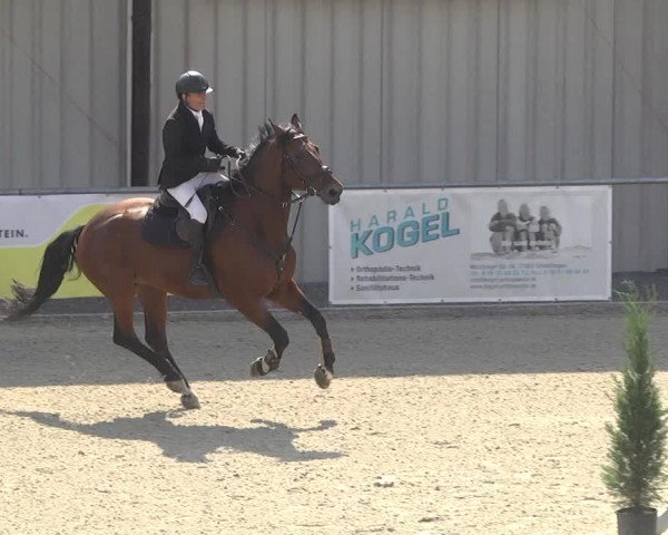Reitturnier Ehningen 2023