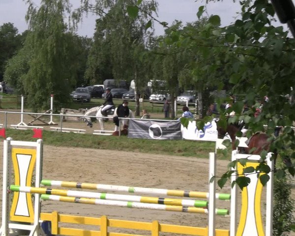 Reitturnier Herbern 2023