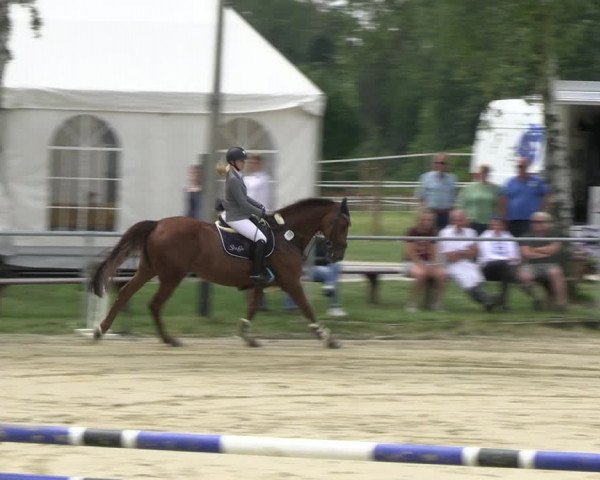 Reitturnier Herbern 2023