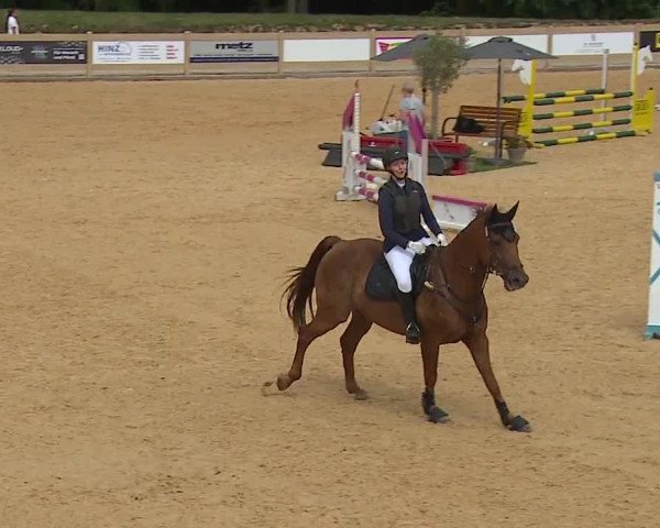 Reitturnier Tiefenhof/Opf. 2023