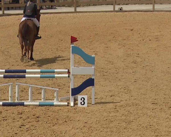 Reitturnier Tiefenhof/Opf. 2023