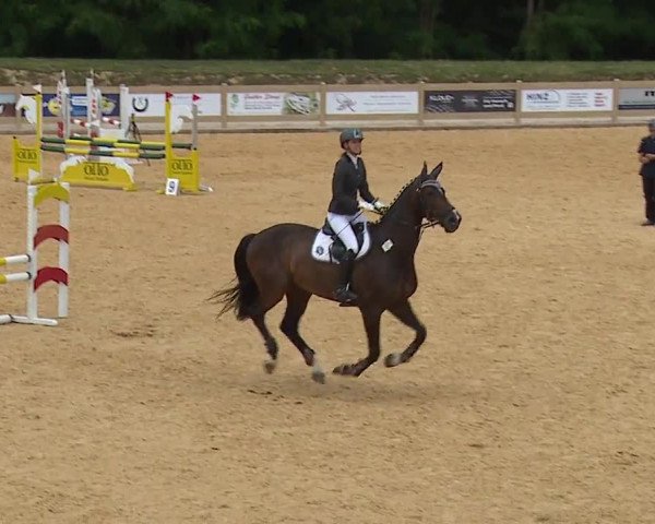 Reitturnier Tiefenhof/Opf. 2023