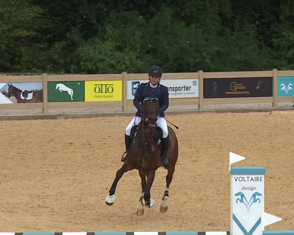 Reitturnier Tiefenhof/Opf. 2023