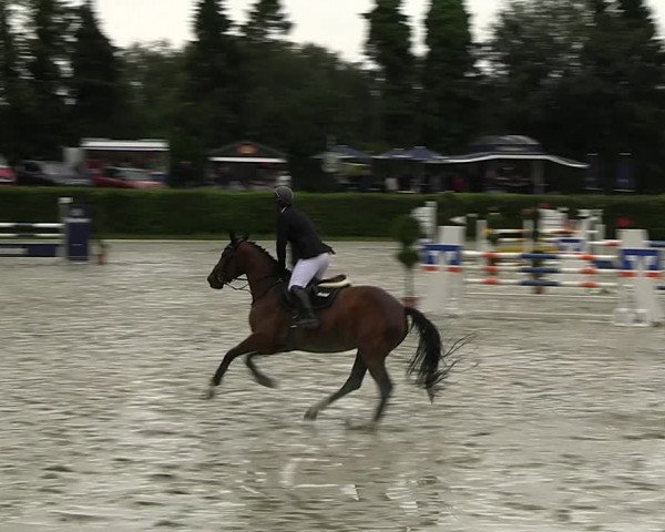 Reitturnier Vlotho-Exter 2023