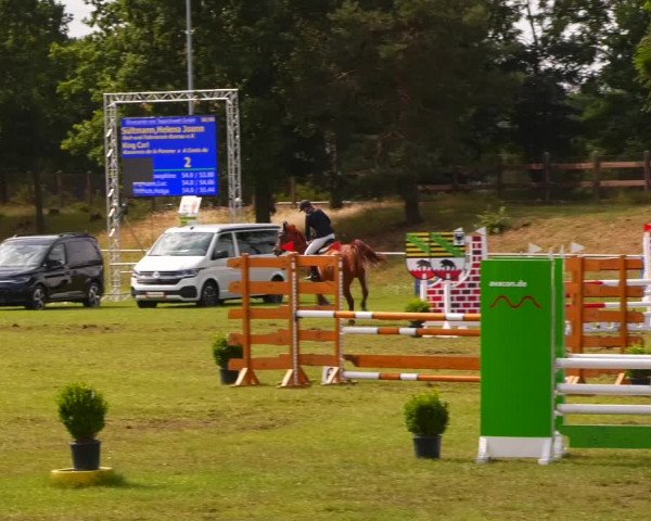 Reitturnier Gardelegen 2023