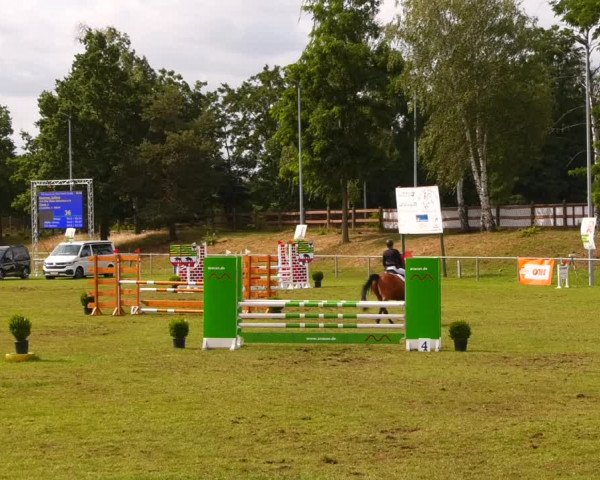 Reitturnier Gardelegen 2023