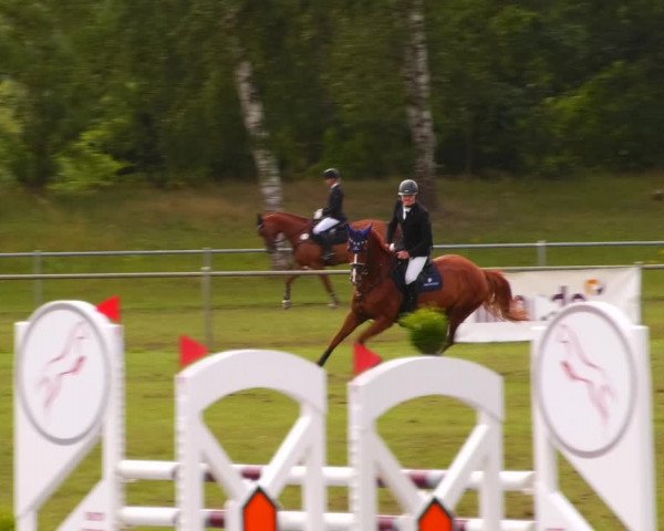 Reitturnier Gardelegen 2023