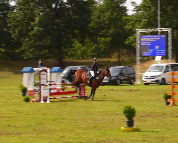 Reitturnier Gardelegen 2023