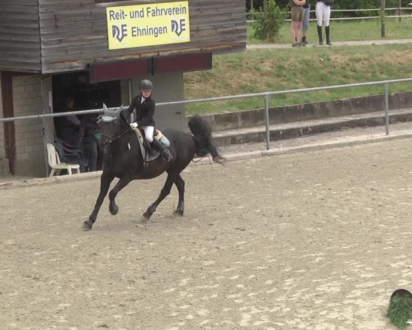 Reitturnier Ehningen 2023