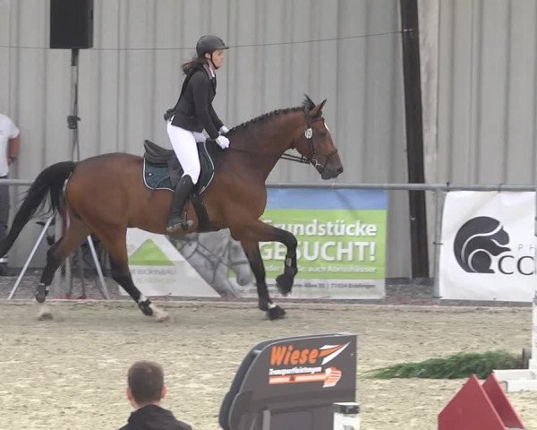Reitturnier Ehningen 2023