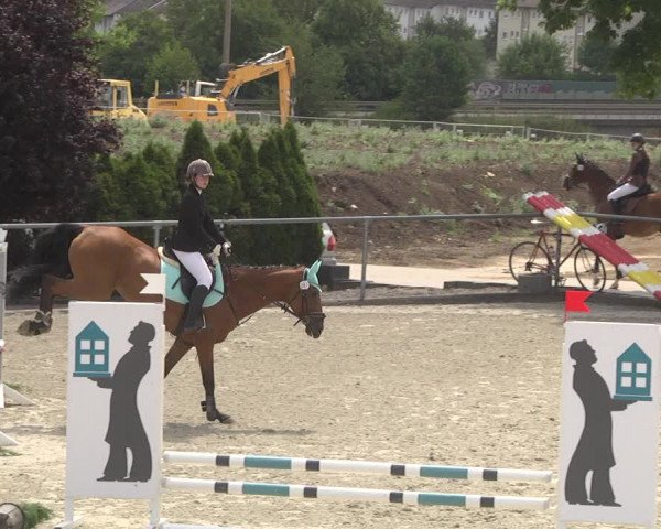 Reitturnier Ehningen 2023