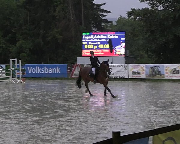 Reitturnier Vlotho-Exter 2023