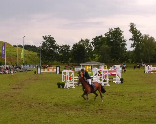 Reitturnier Gardelegen 2023