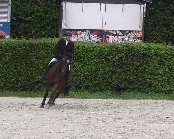 Reitturnier Vlotho-Exter 2023
