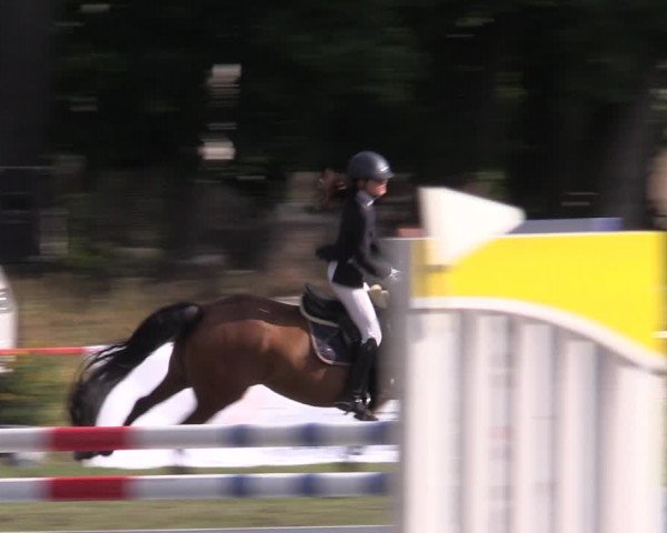 Reitturnier Boock 2023
