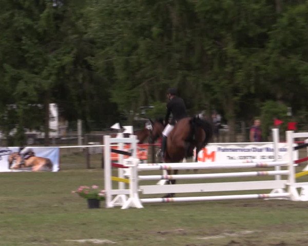 Reitturnier Boock 2023