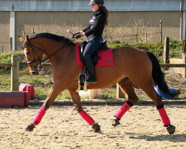 Delangre Johanna