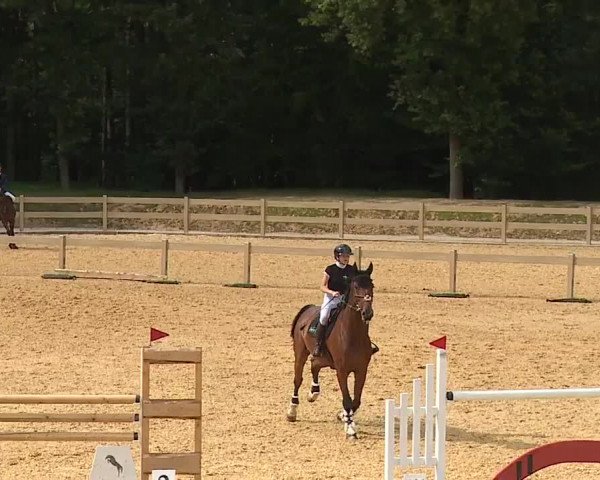 Reitturnier Tiefenhof/Opf. 2023