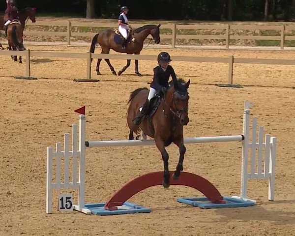 Reitturnier Tiefenhof/Opf. 2023