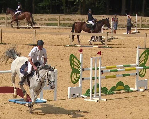 Reitturnier Tiefenhof/Opf. 2023