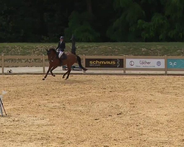 Reitturnier Tiefenhof/Opf. 2023
