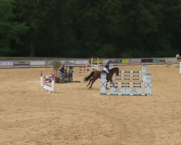 Reitturnier Tiefenhof/Opf. 2023