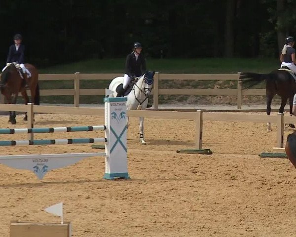 Reitturnier Tiefenhof/Opf. 2023