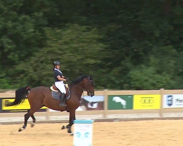 Reitturnier Tiefenhof/Opf. 2023