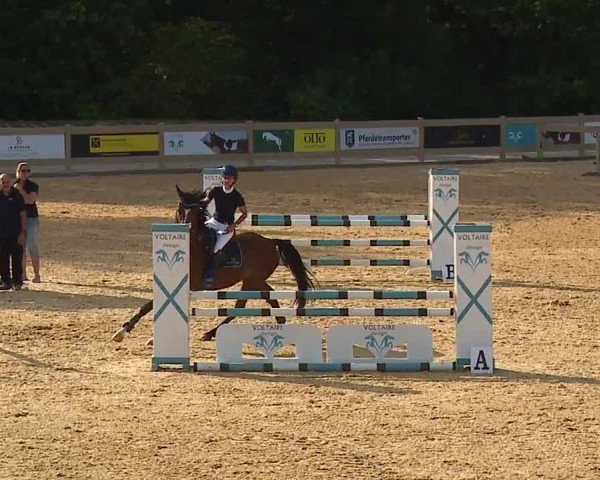 Reitturnier Tiefenhof/Opf. 2023