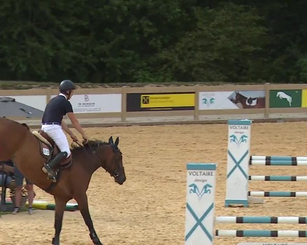 Reitturnier Tiefenhof/Opf. 2023