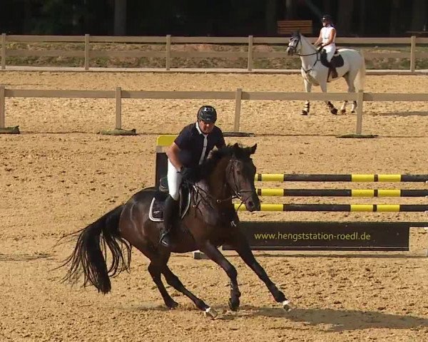 Reitturnier Tiefenhof/Opf. 2023