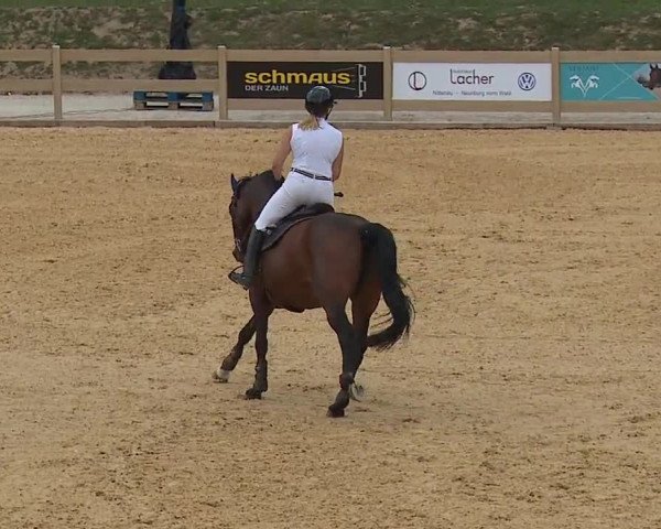 Reitturnier Tiefenhof/Opf. 2023