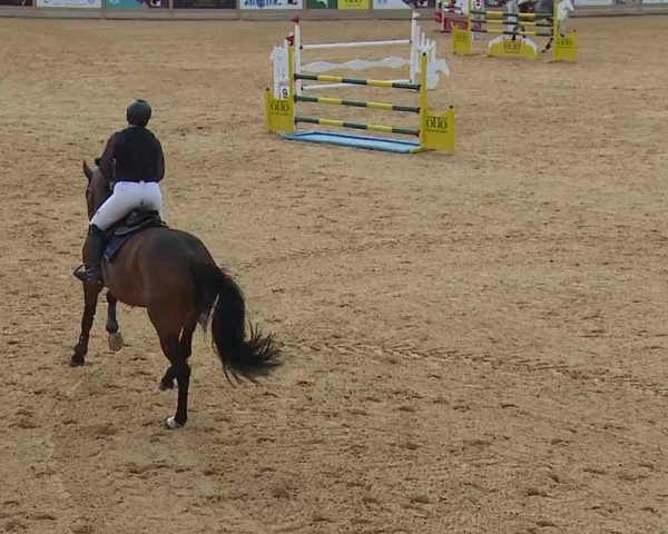 Reitturnier Tiefenhof/Opf. 2023
