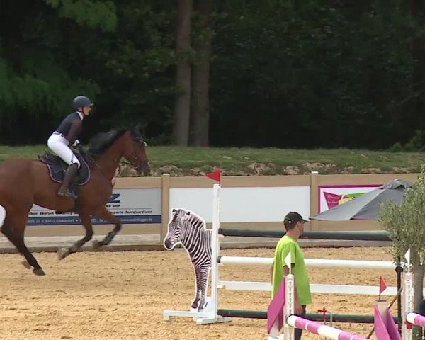 Reitturnier Tiefenhof/Opf. 2023