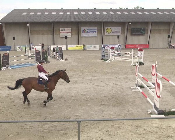 Reitturnier Ehningen 2023