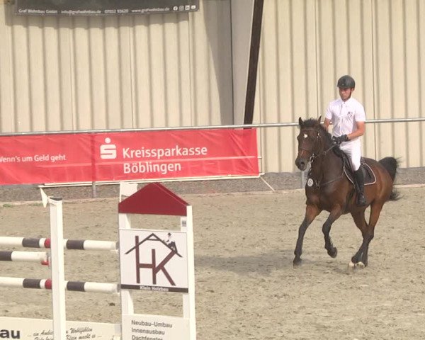 Reitturnier Ehningen 2023