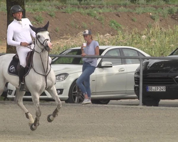 Reitturnier Ehningen 2023
