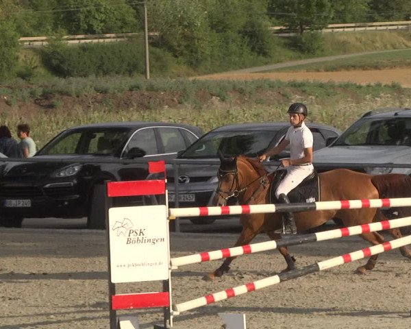 Reitturnier Ehningen 2023