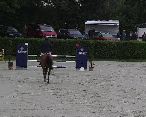 Reitturnier Vlotho-Exter 2023