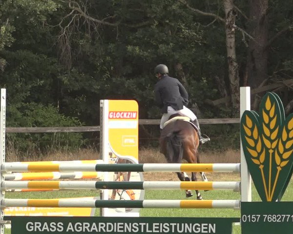 Reitturnier Thönse 2023