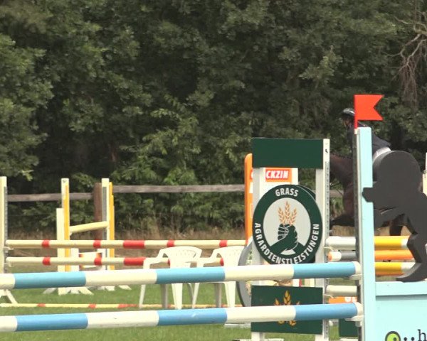 Reitturnier Thönse 2023