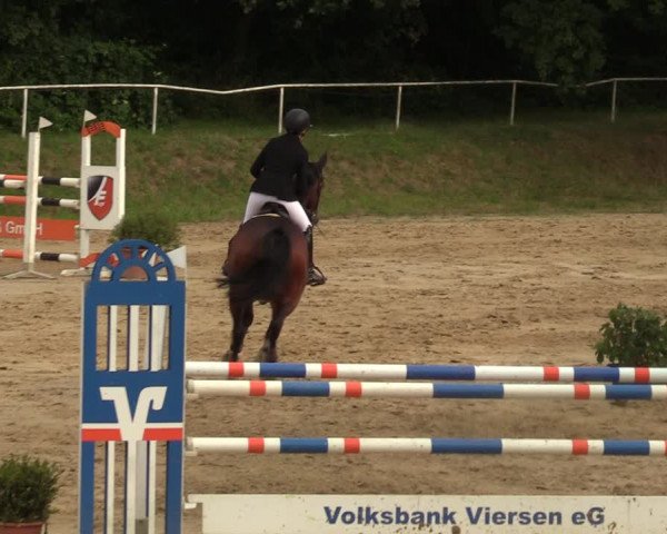 Reitturnier Viersen-Dülken 2023