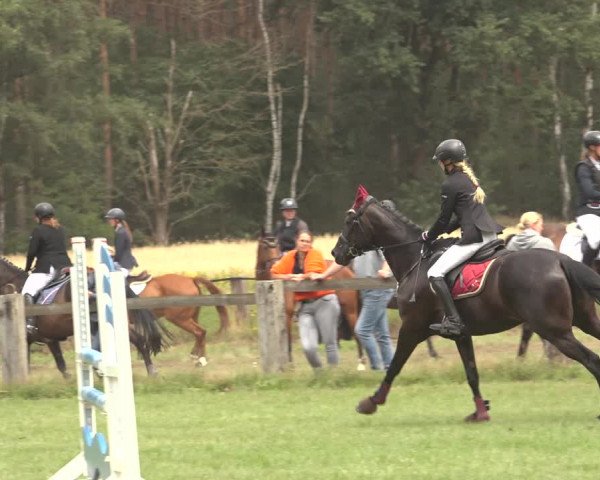 Reitturnier Thönse 2023