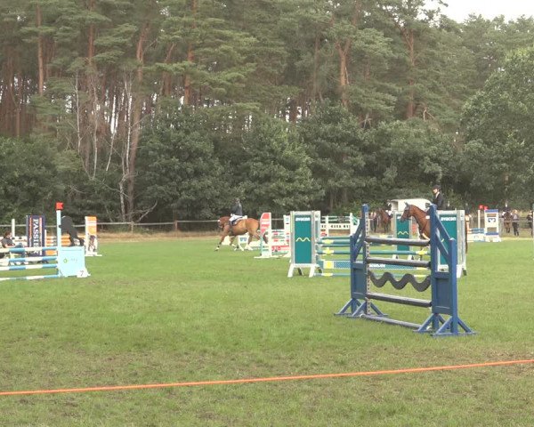 Reitturnier Thönse 2023