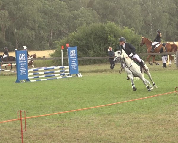 Reitturnier Thönse 2023