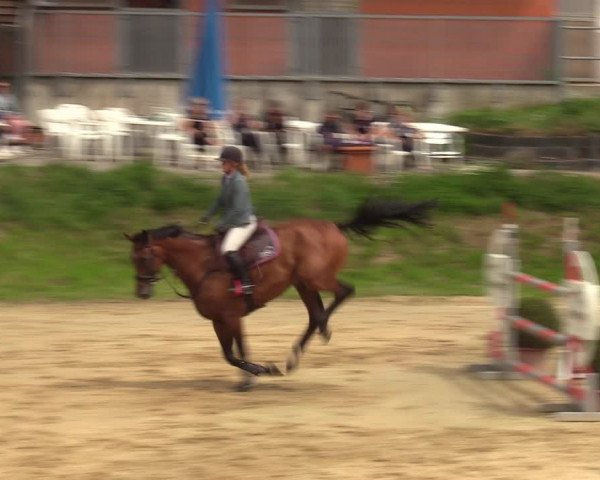 Reitturnier Viersen-Dülken 2023