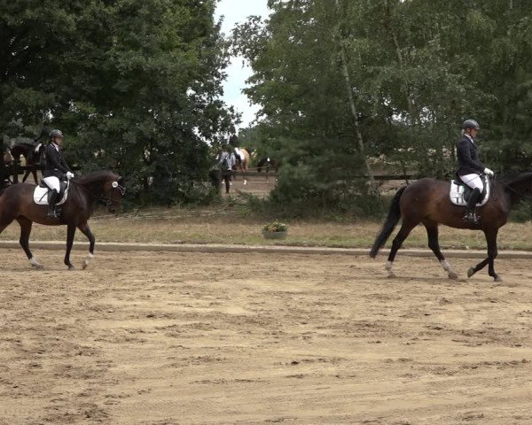 Reitturnier Thönse 2023