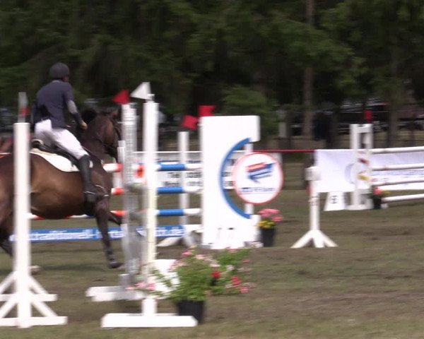 Reitturnier Boock 2023