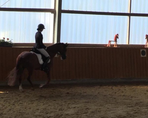 Reitturnier Herbern 2023